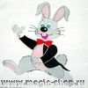 Rabbit Silk 36 Inch - Tuxedo