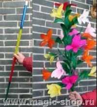 Трость превращаются в  цветы | Rainbow  Cane to Flower, 21 flowers