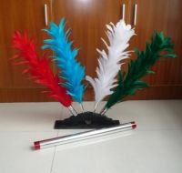 Султанчики | Color Changing Feather (Large)