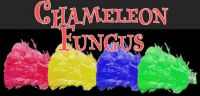 Chameleon Fungus
