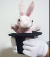 Кролик в шляпе фокусника