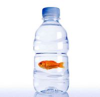 рыбка в бутылке | FISH IN A BOTTLE